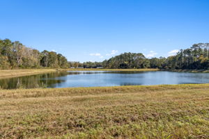 Pond View