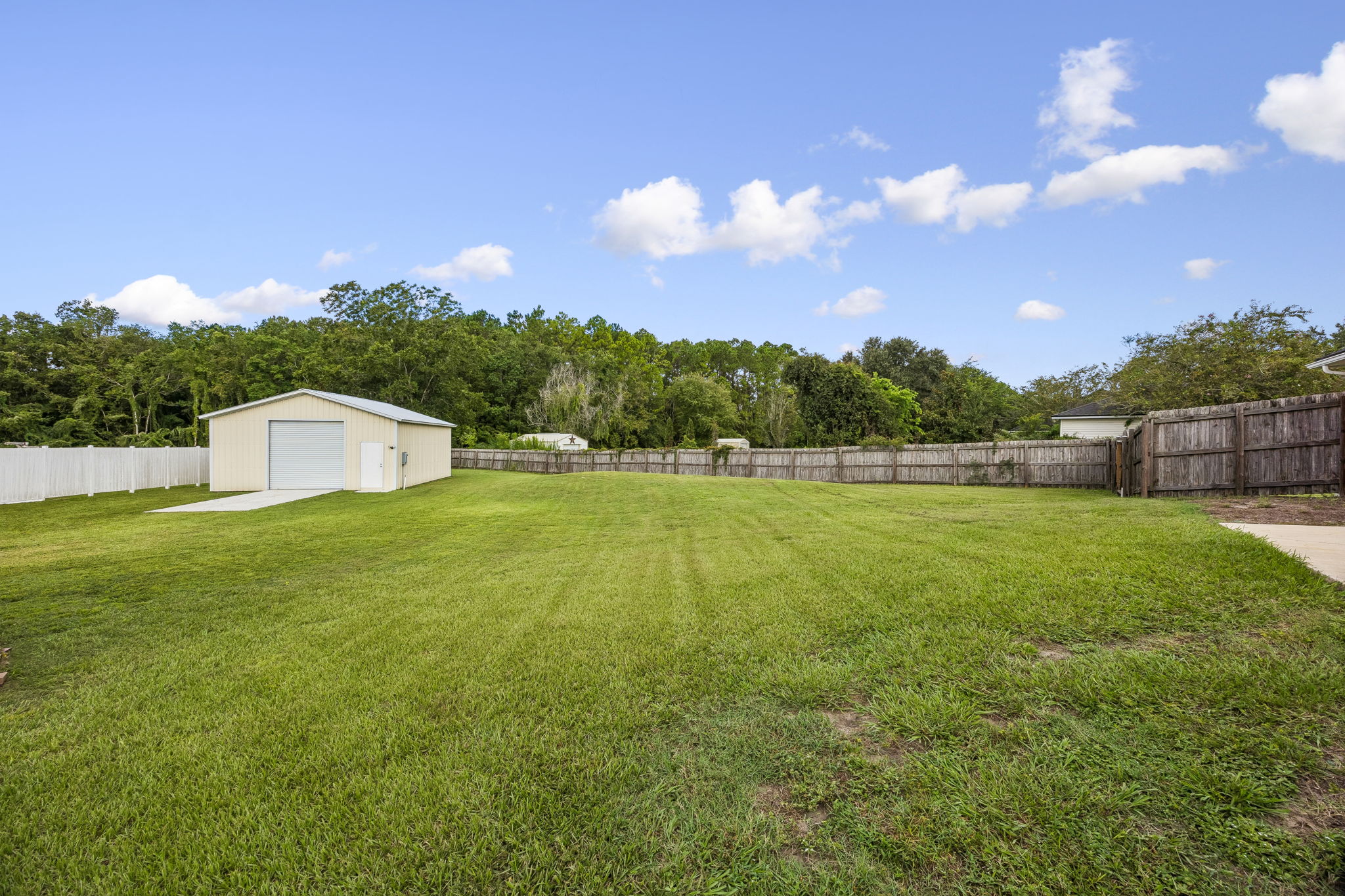 Back Yard