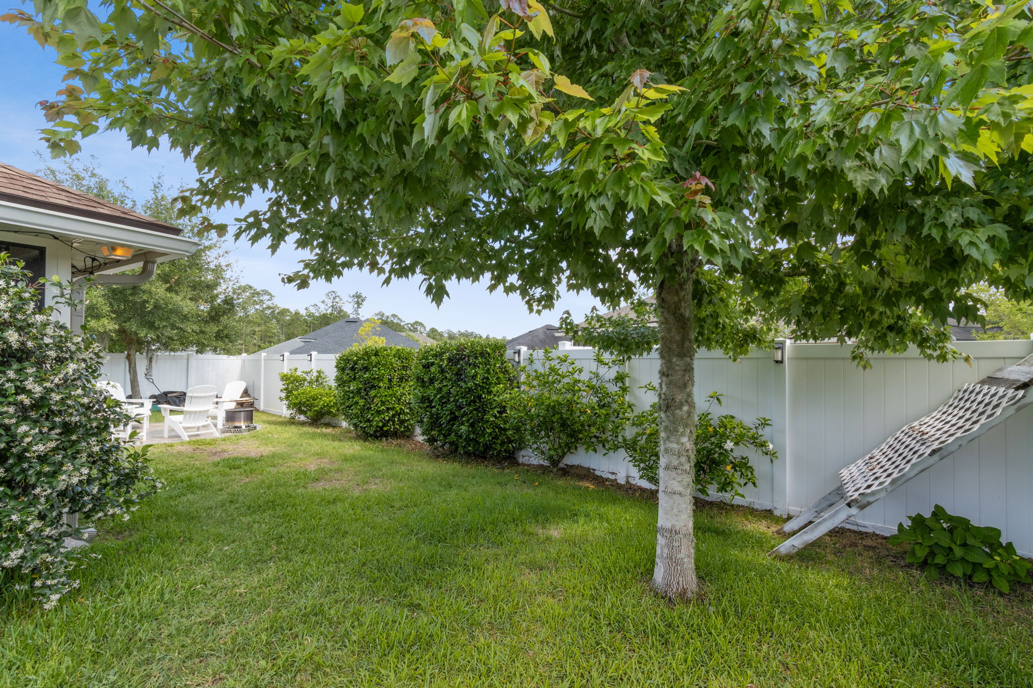 Backyard