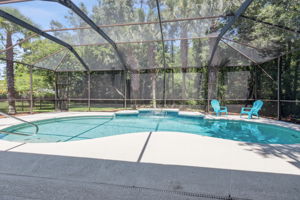 Heated Saltwater Pool and Patio area