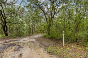 Long Private Driveway