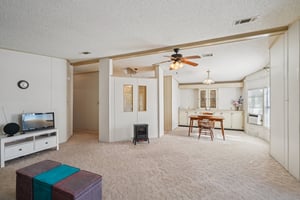 Silver Trl-S2901-010.jpg