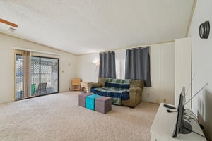 Silver Trl-S2901-011.jpg