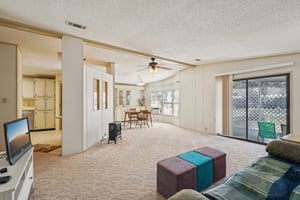 Silver Trl-S2901-012.jpg