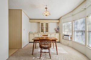 Silver Trl-S2901-013.jpg