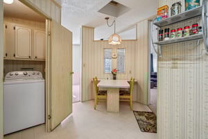 Silver Trl-S2901-016.jpg