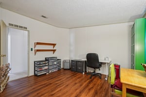 Silver Trl-S2901-020.jpg