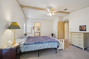 Silver Trl-S2901-023.jpg