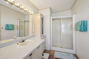 Silver Trl-S2901-025.jpg