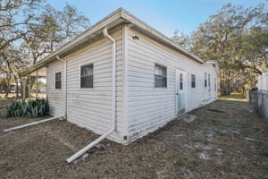 Silver Trl-S2901-031.jpg