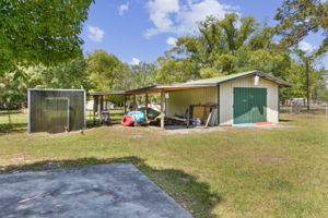 Shed