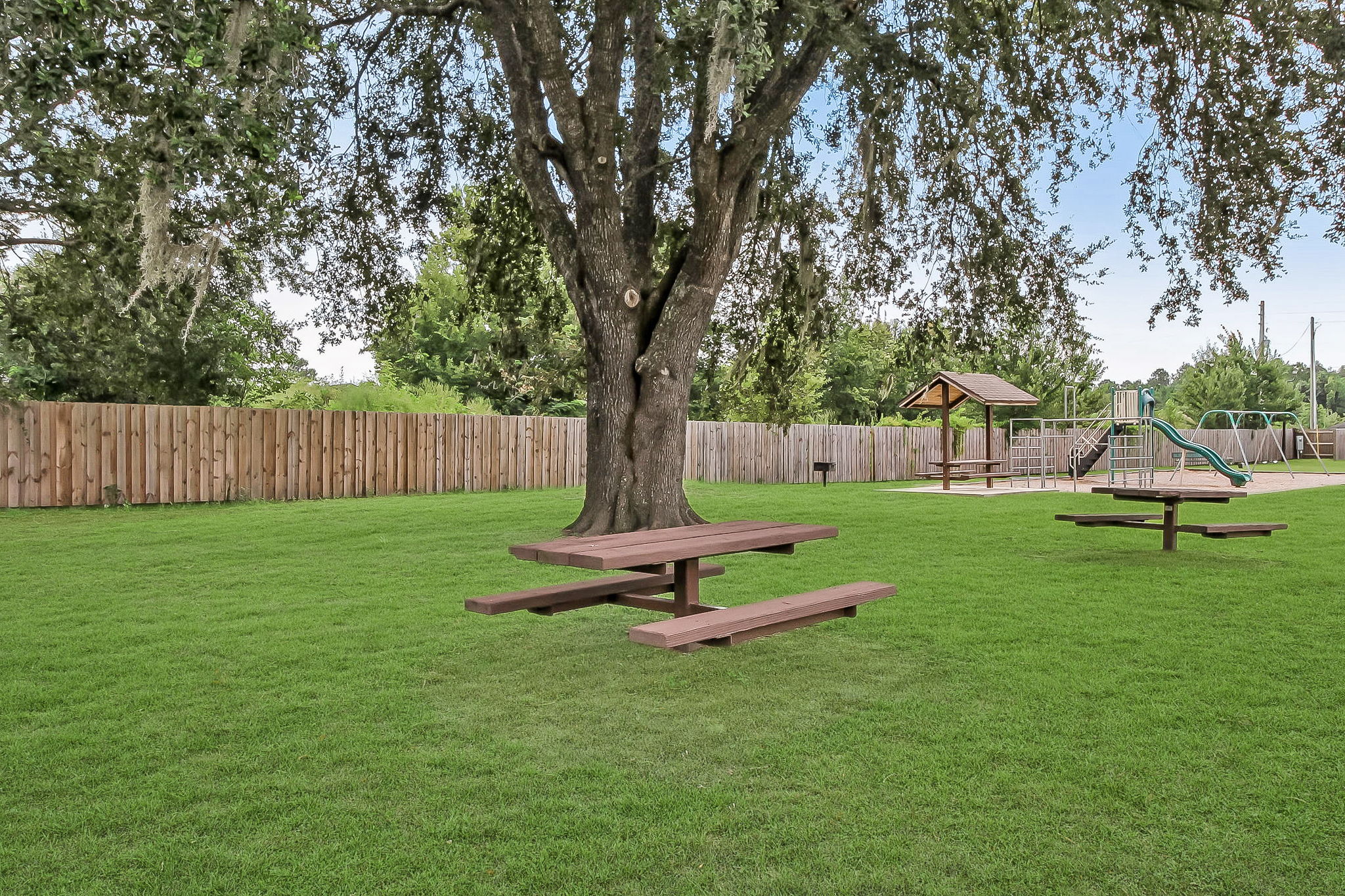 ... a shady spot for a picnic ...