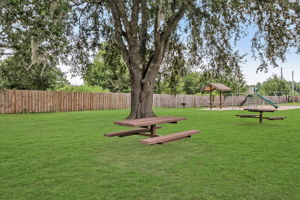 ... a shady spot for a picnic ...