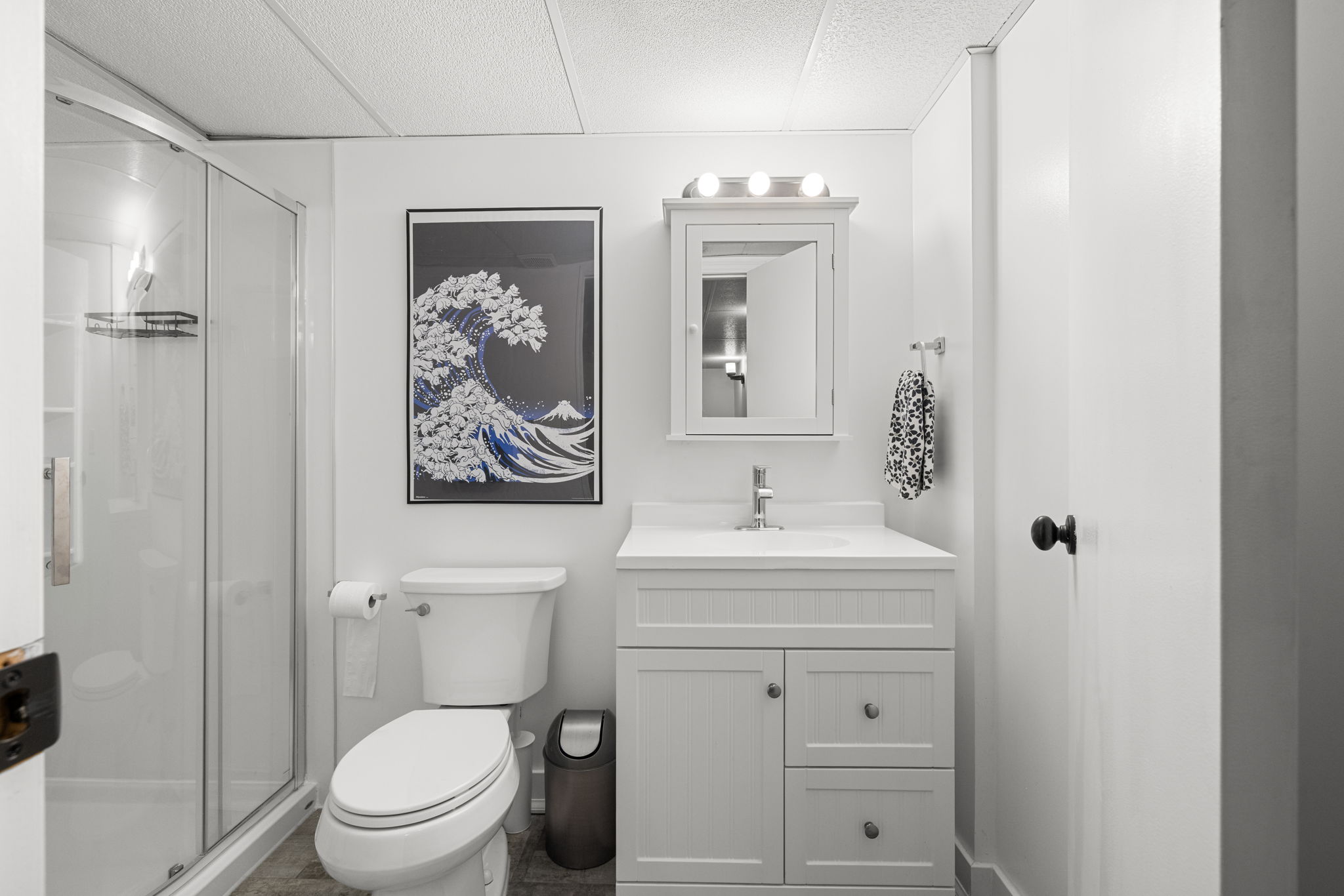 8628 Thurston Cres - 33. Basement Bathroom