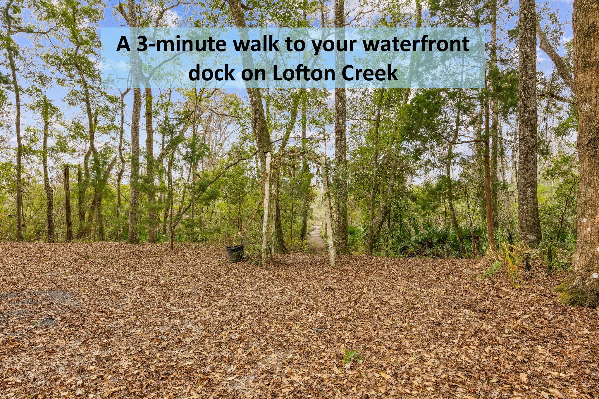 A wooded cleared path beckons in the back yard ...