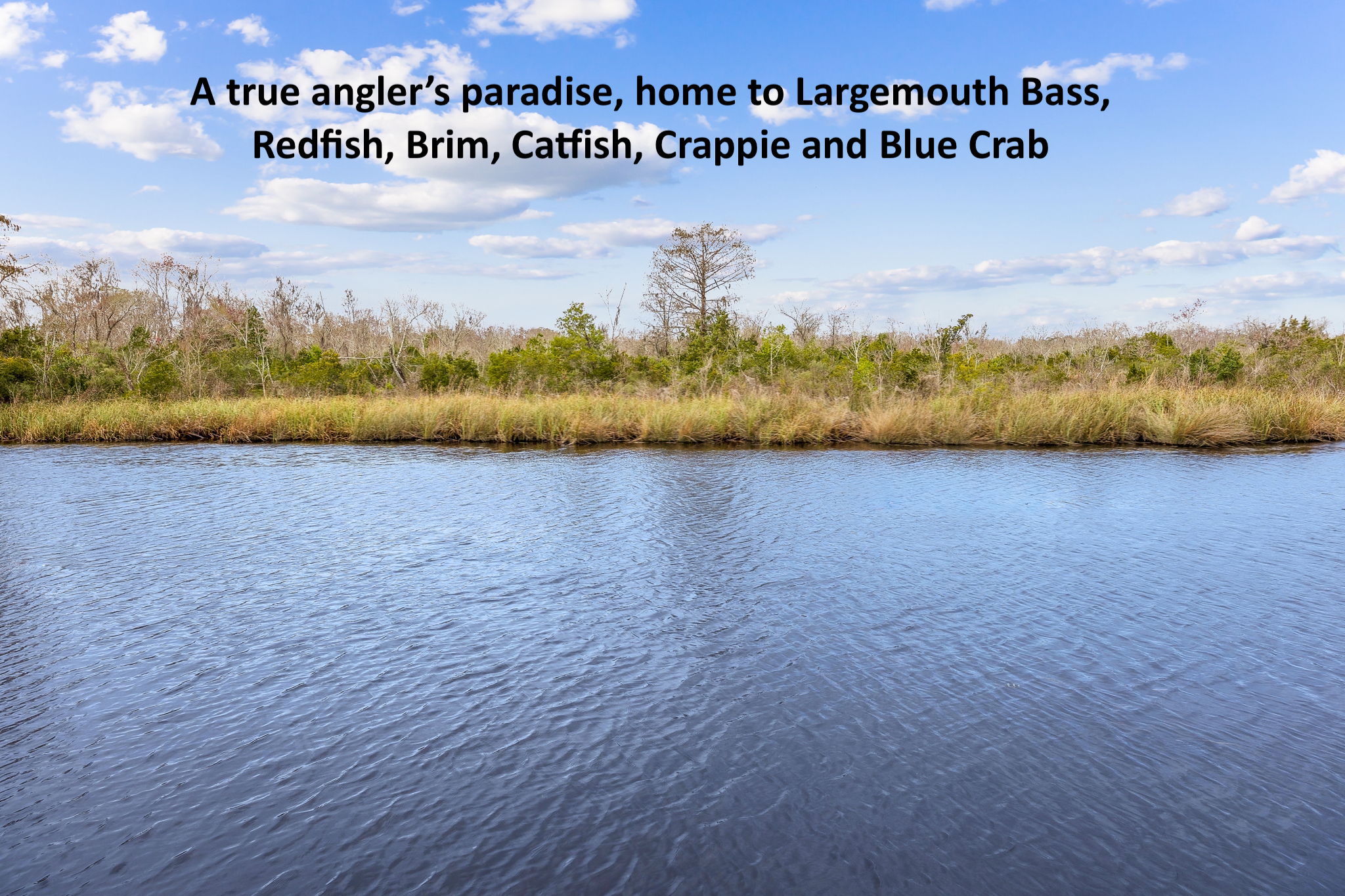 ... as is the fishing.