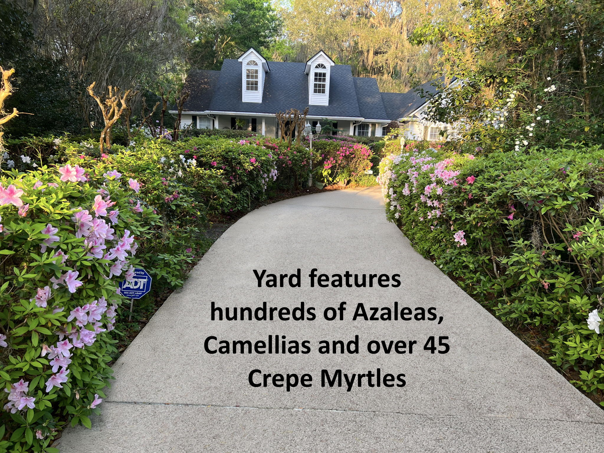 Enter through a secluded, azalea-lined drive ...