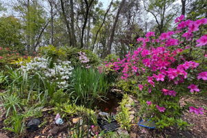 Layered with hundreds of flowering varieties, blooming shrubs, and ornamental trees ...