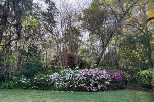 ... creating a living, ever-changing landscape.