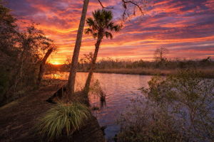 Facing due west, the sunsets are amazing ...