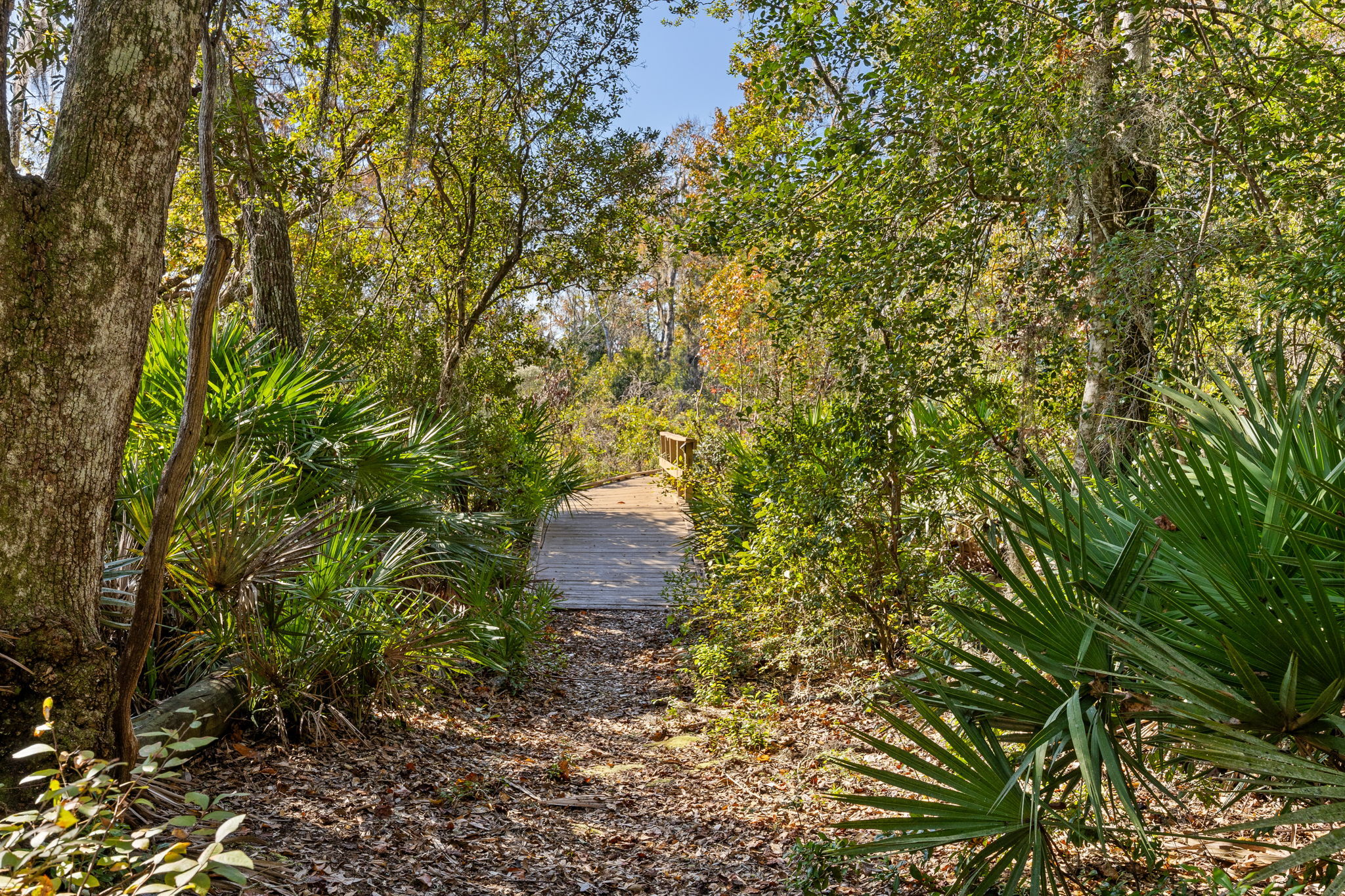 ... and a professionally installed dock ...