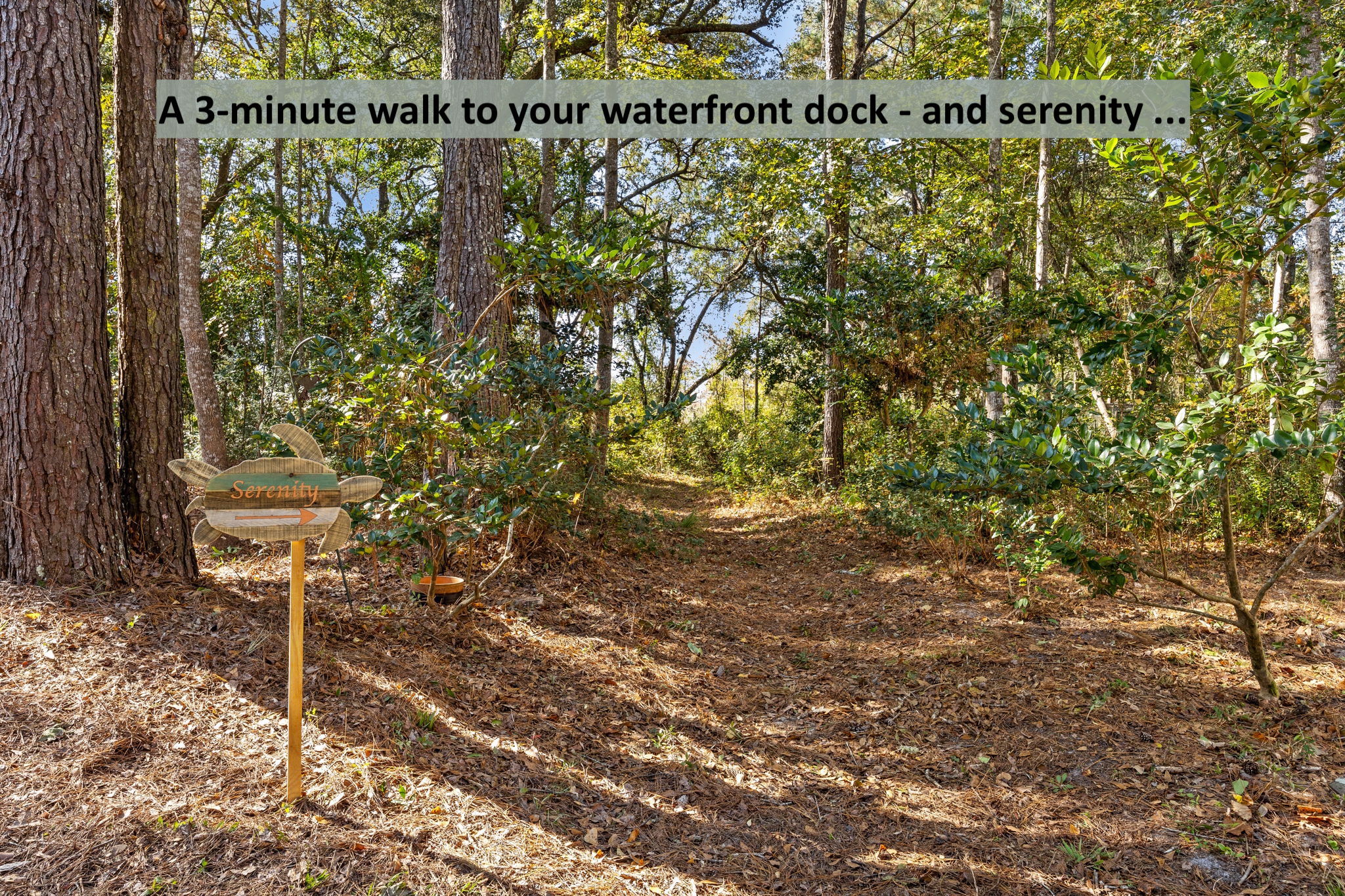 A wooded cleared path beckons in the back yard ...