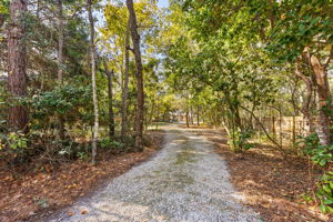 Enter through a secluded, nature-lined drive