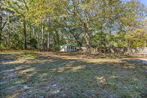 ... that provide both dappled shade and serene natural charm.