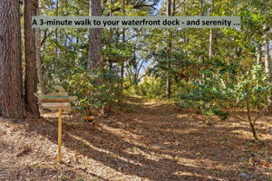 A wooded cleared path beckons in the back yard ...
