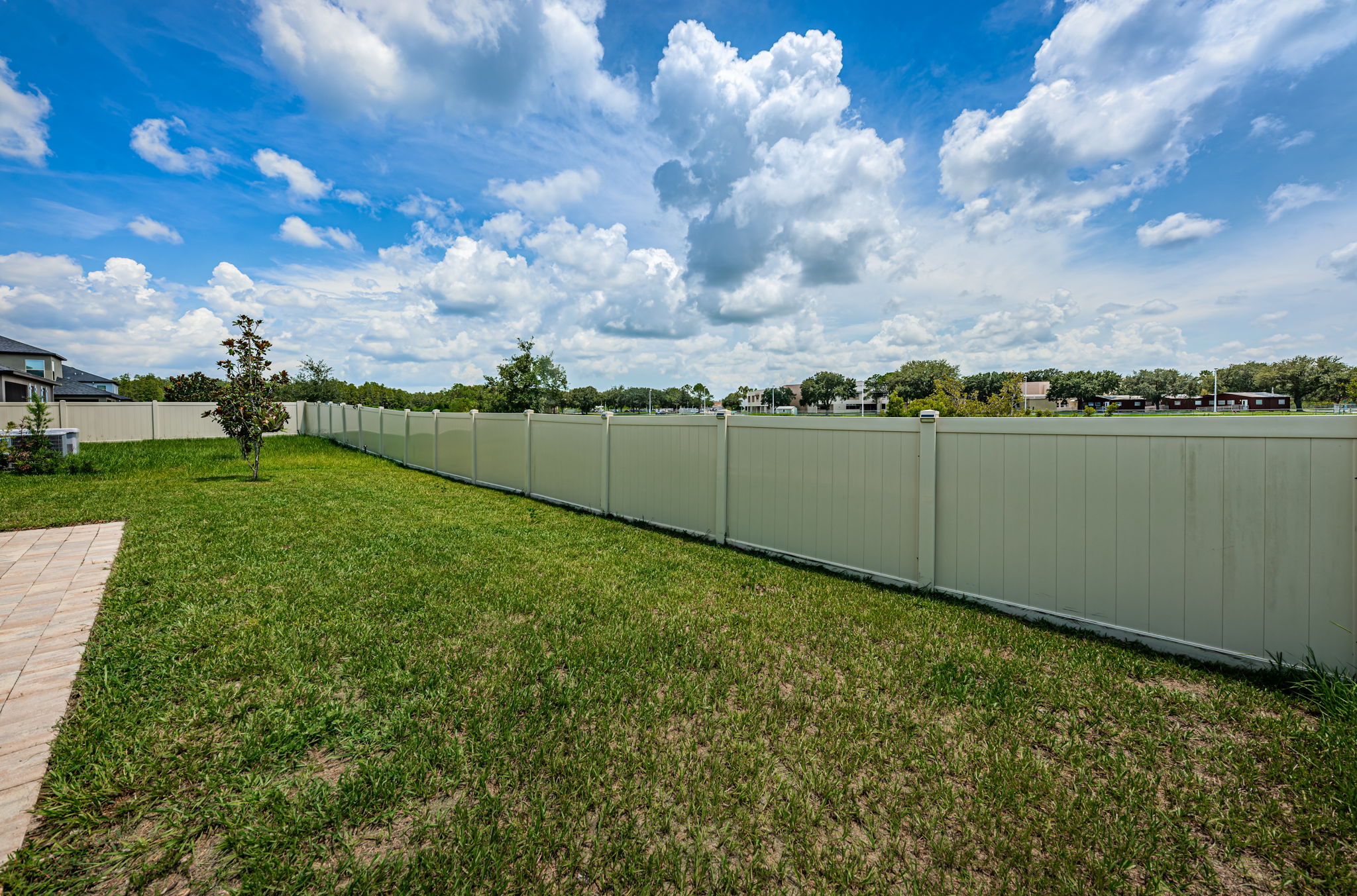Backyard1-3