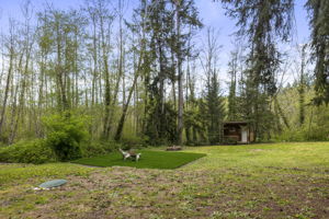  Photo 52