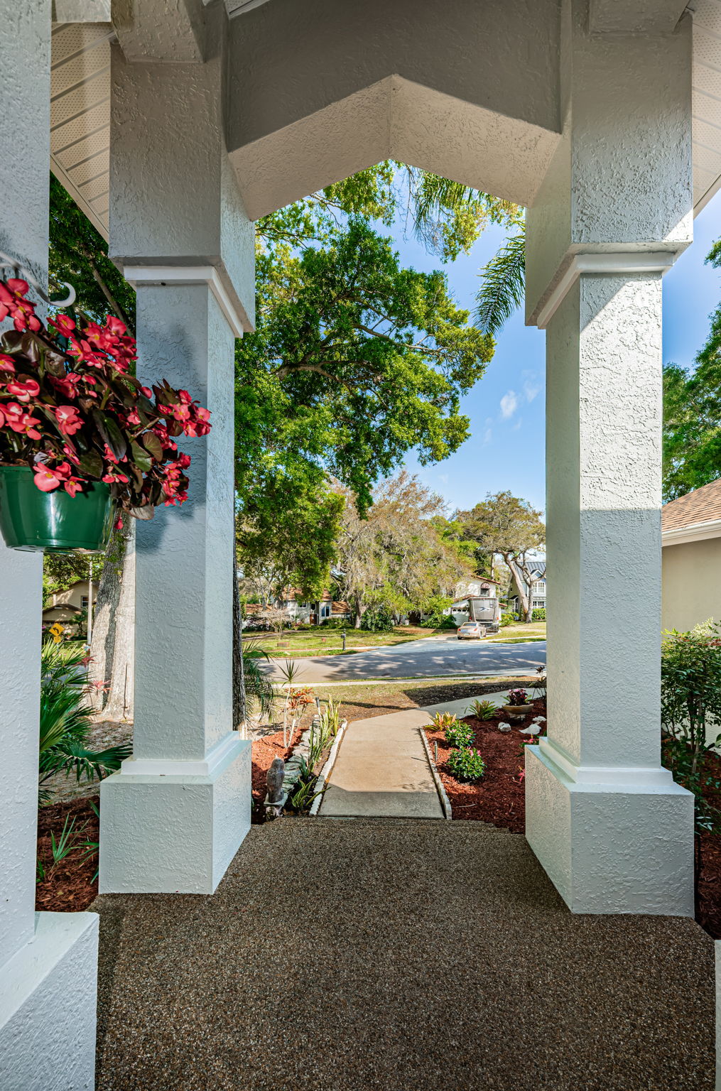 Entry View