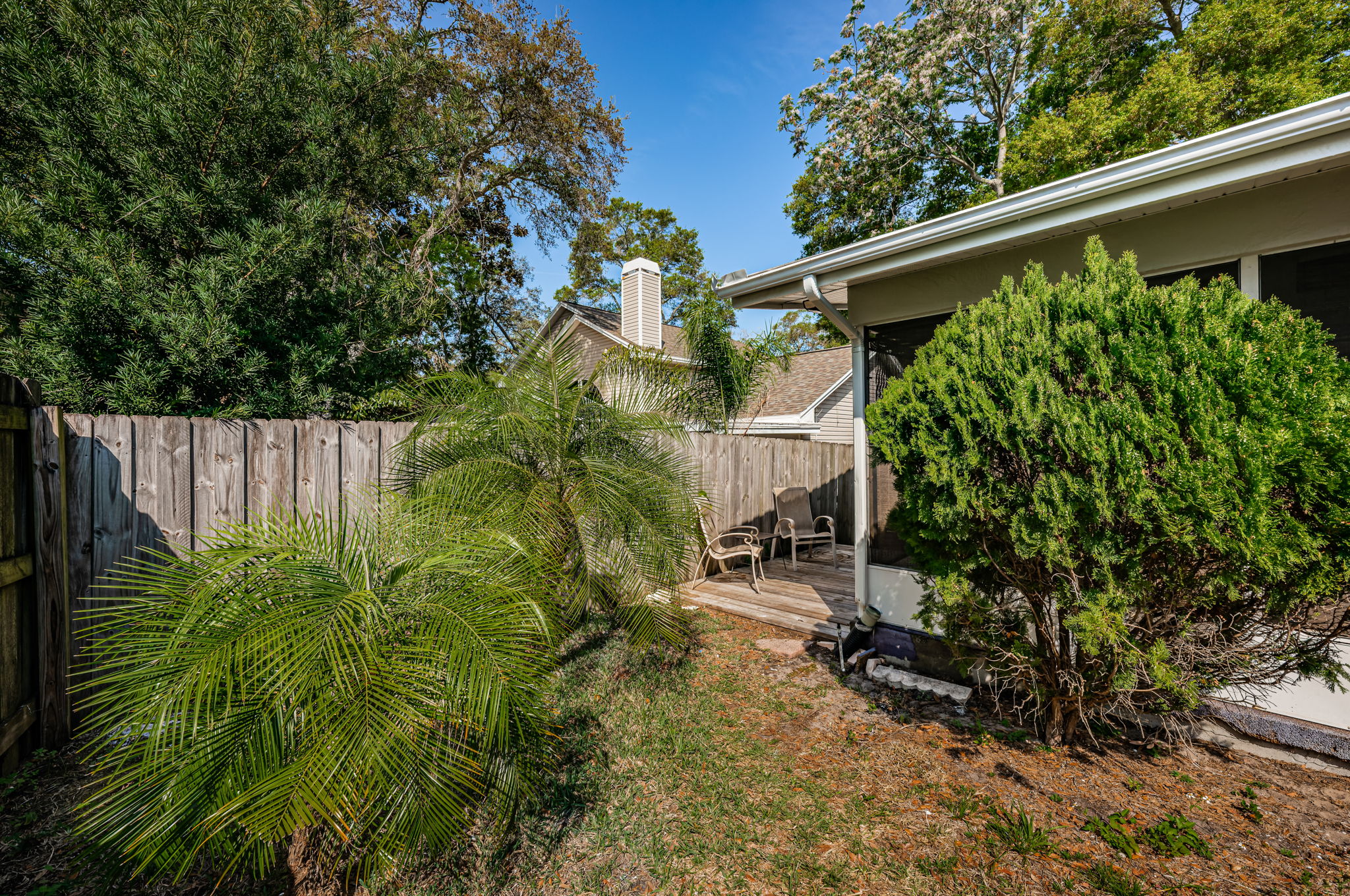Backyard3-2