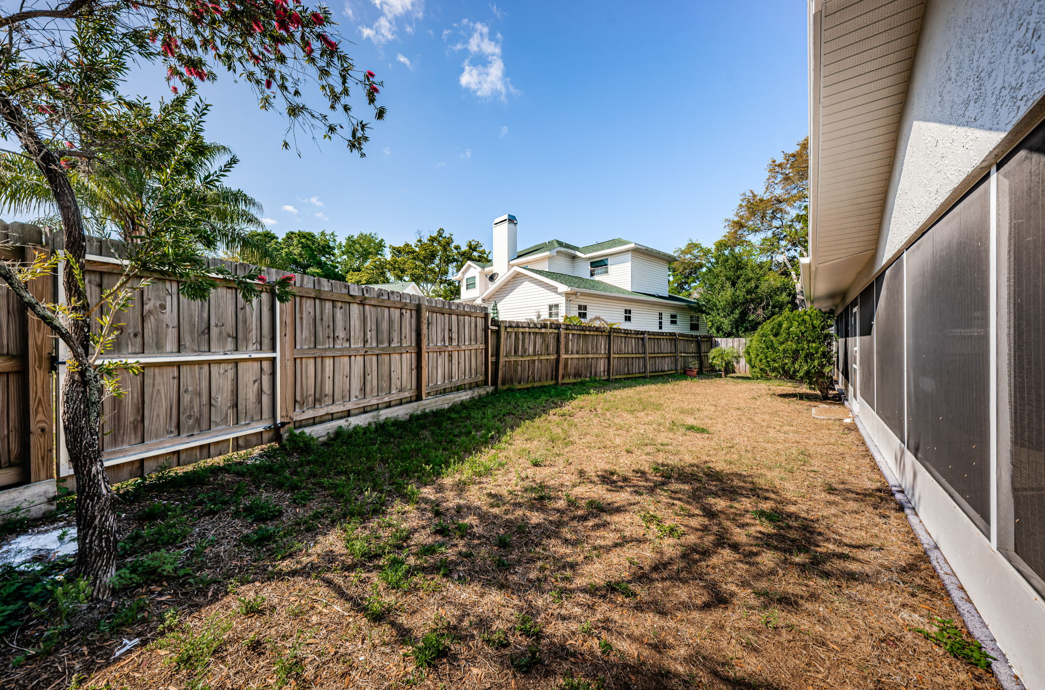 Backyard1-2