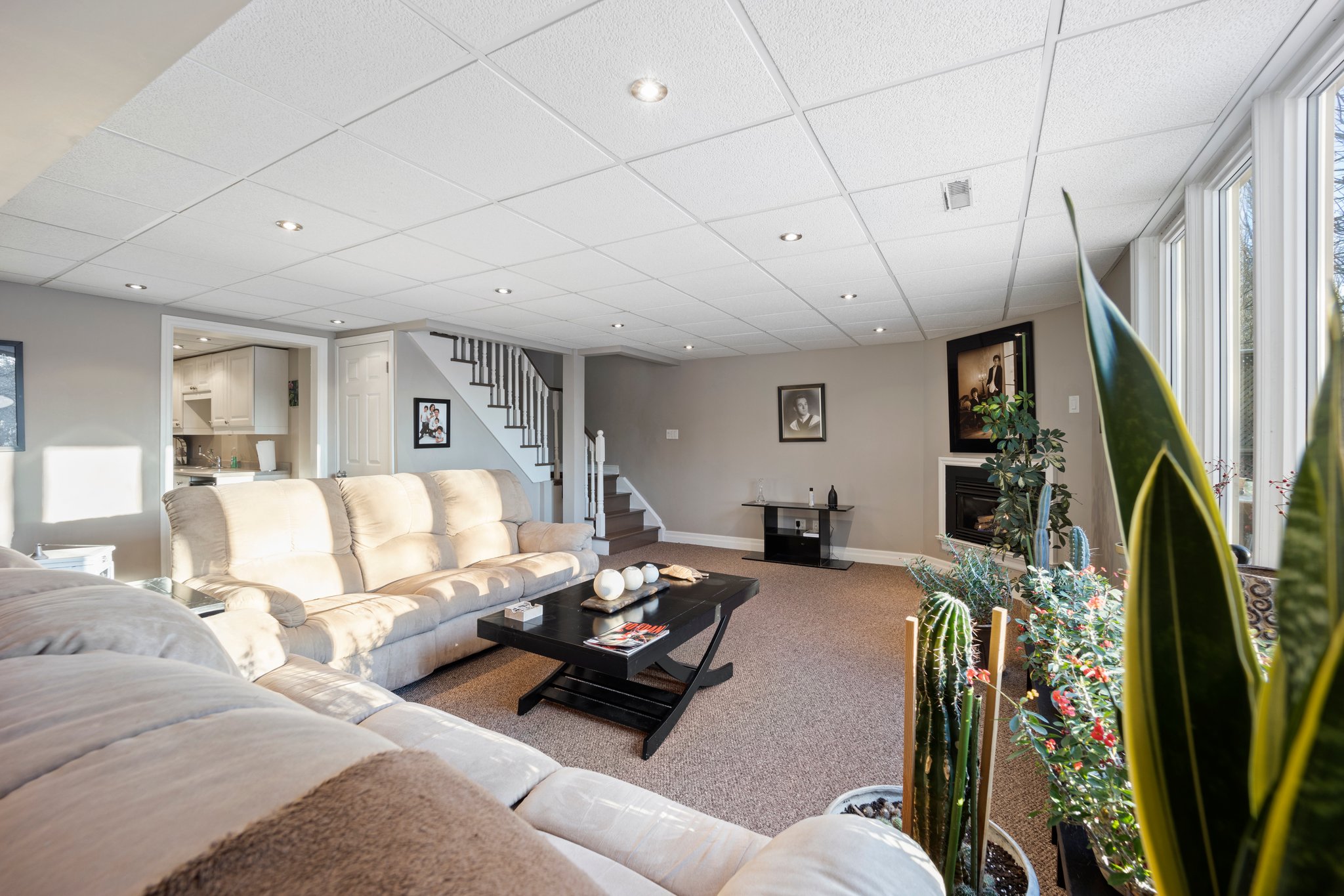 Newmarket property showcase — delivered property photograph 38
