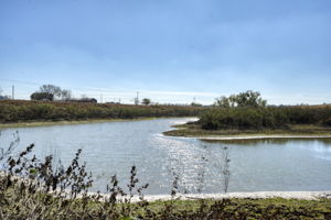  Photo 36