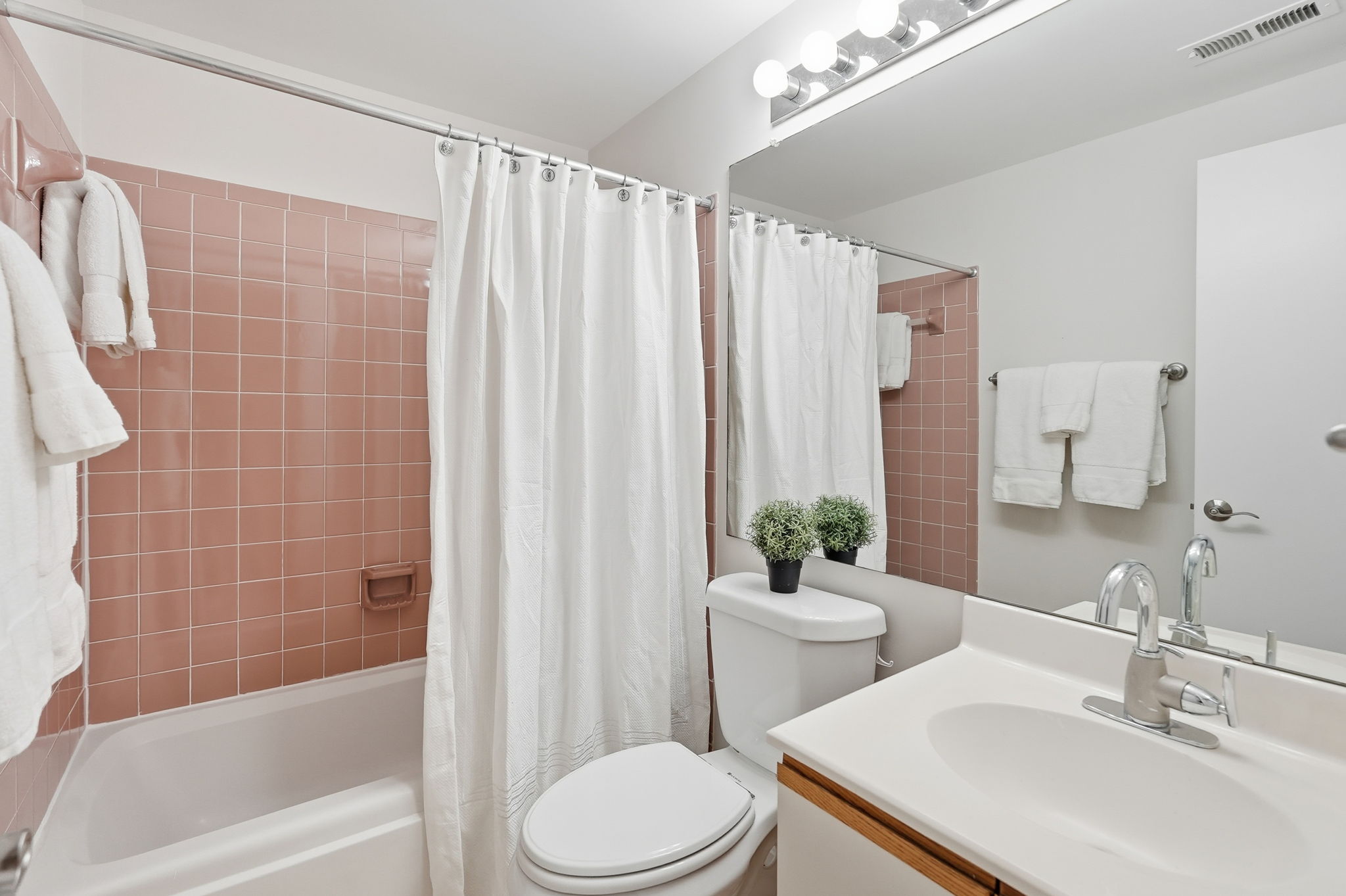 Lower Level Bathroom