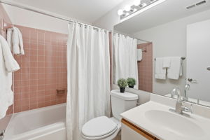 Lower Level Bathroom