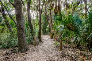 Egans Creek