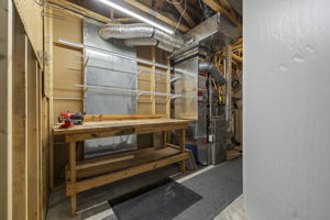 Photo 49