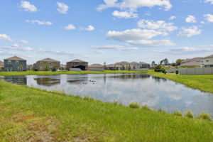 Backyard View