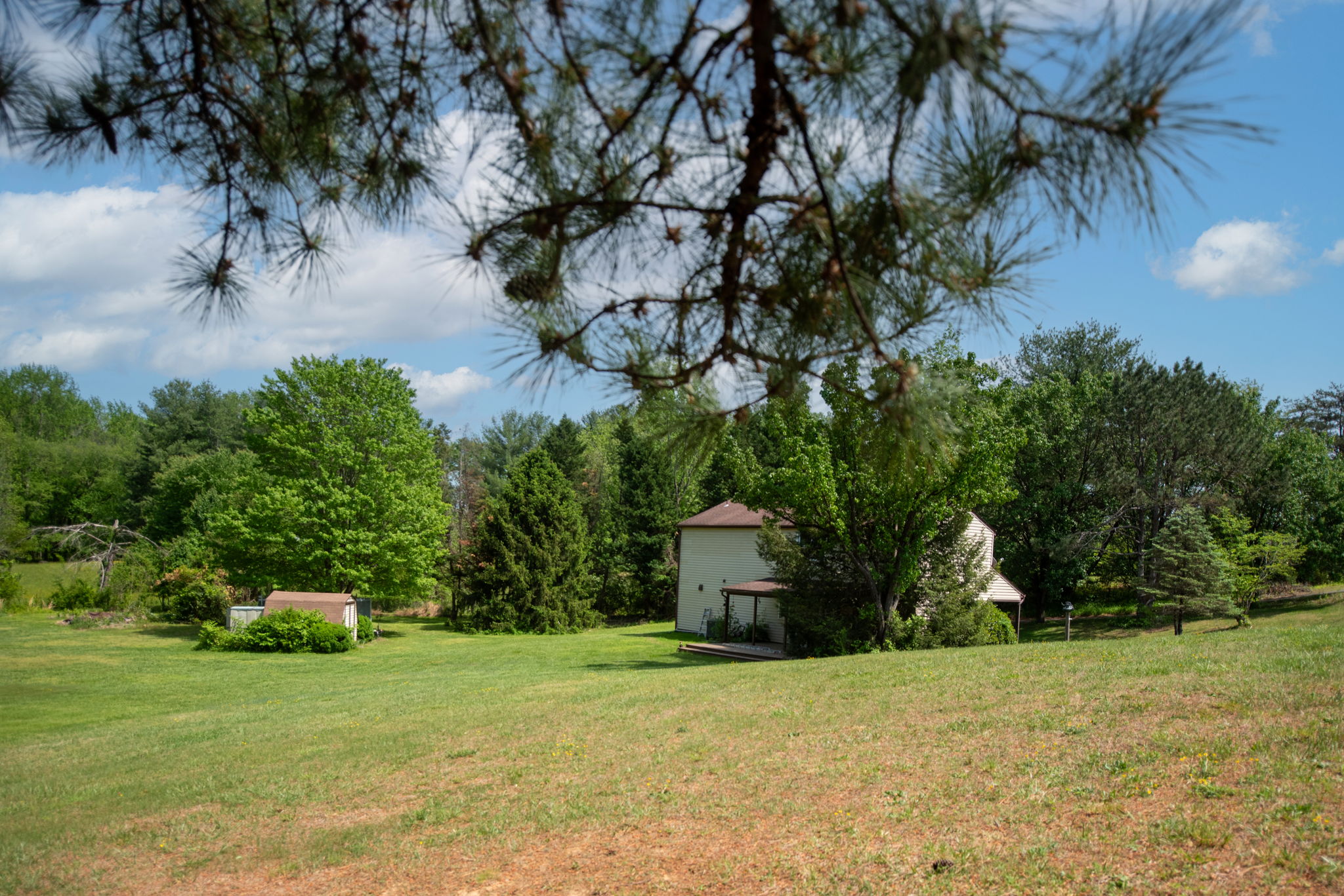  Photo 46