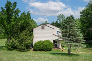  Photo 43