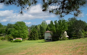  Photo 46
