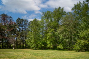  Photo 51