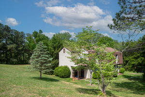  Photo 42