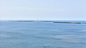  Photo 47