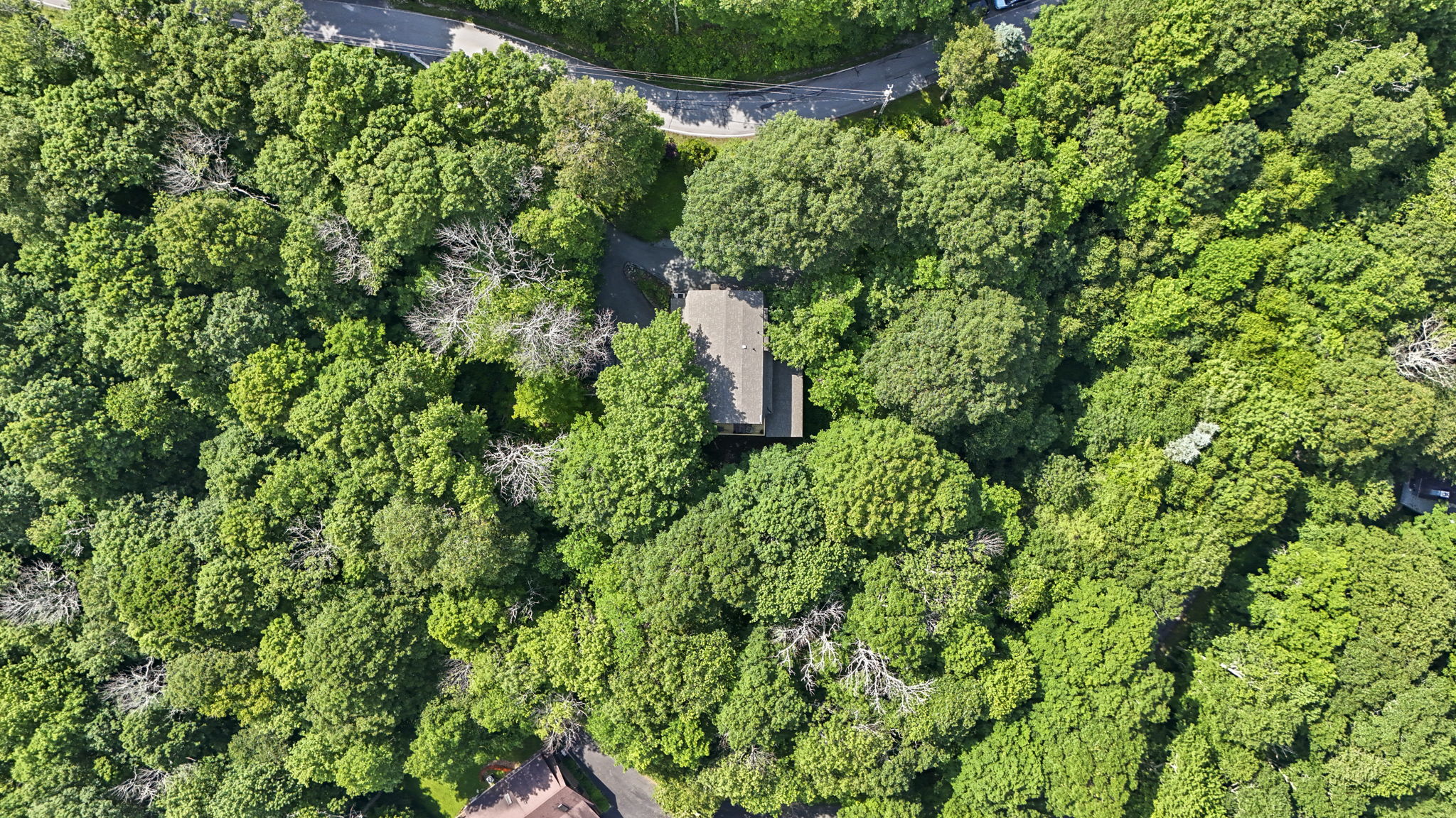 DJI_20250624223643_0038_D