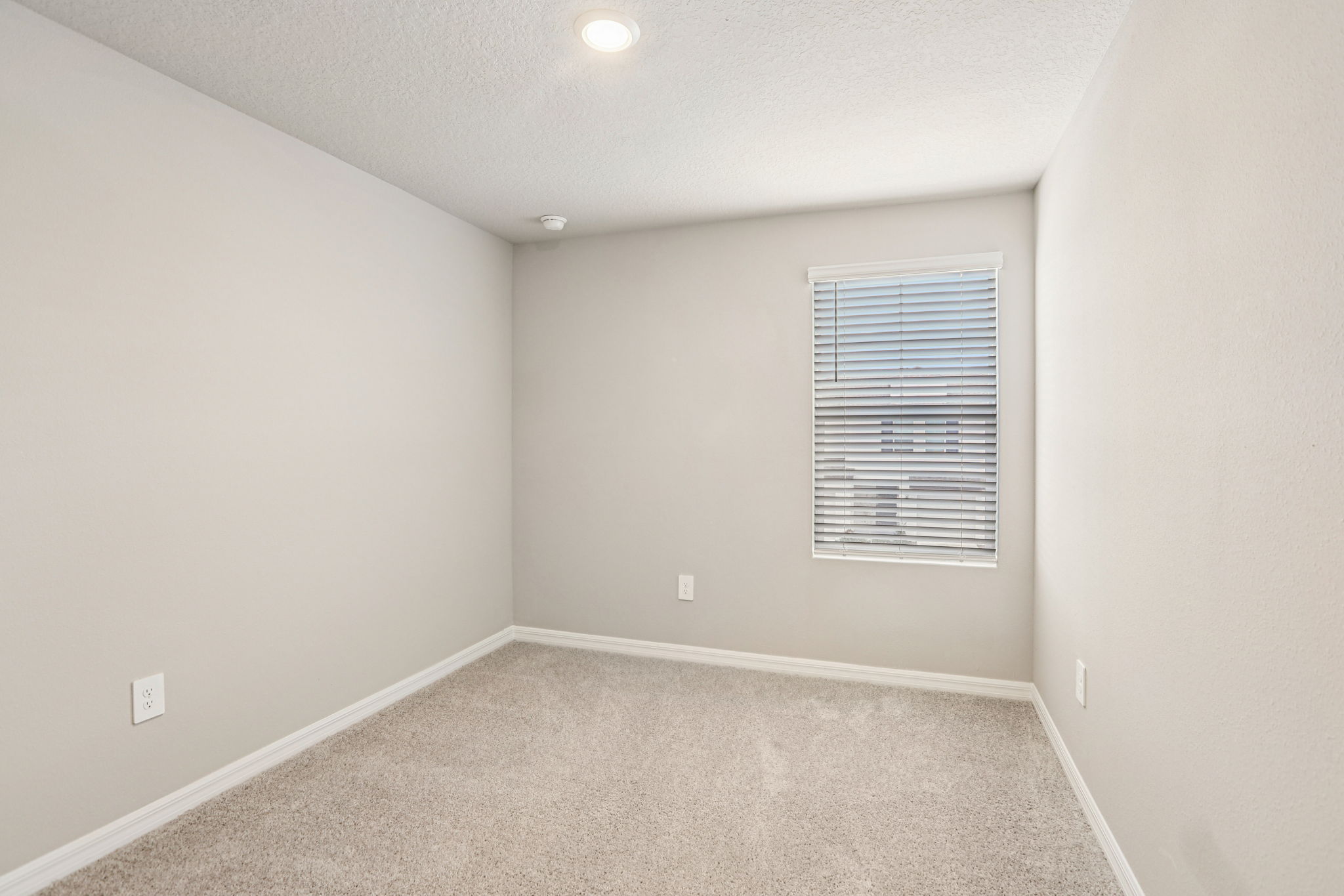 8834 Wild Pine Court-017