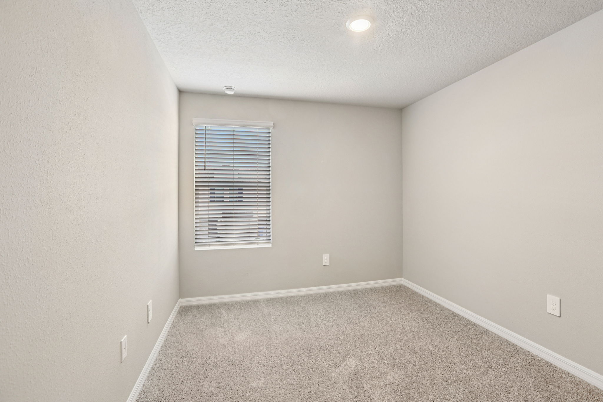 8834 Wild Pine Court-019